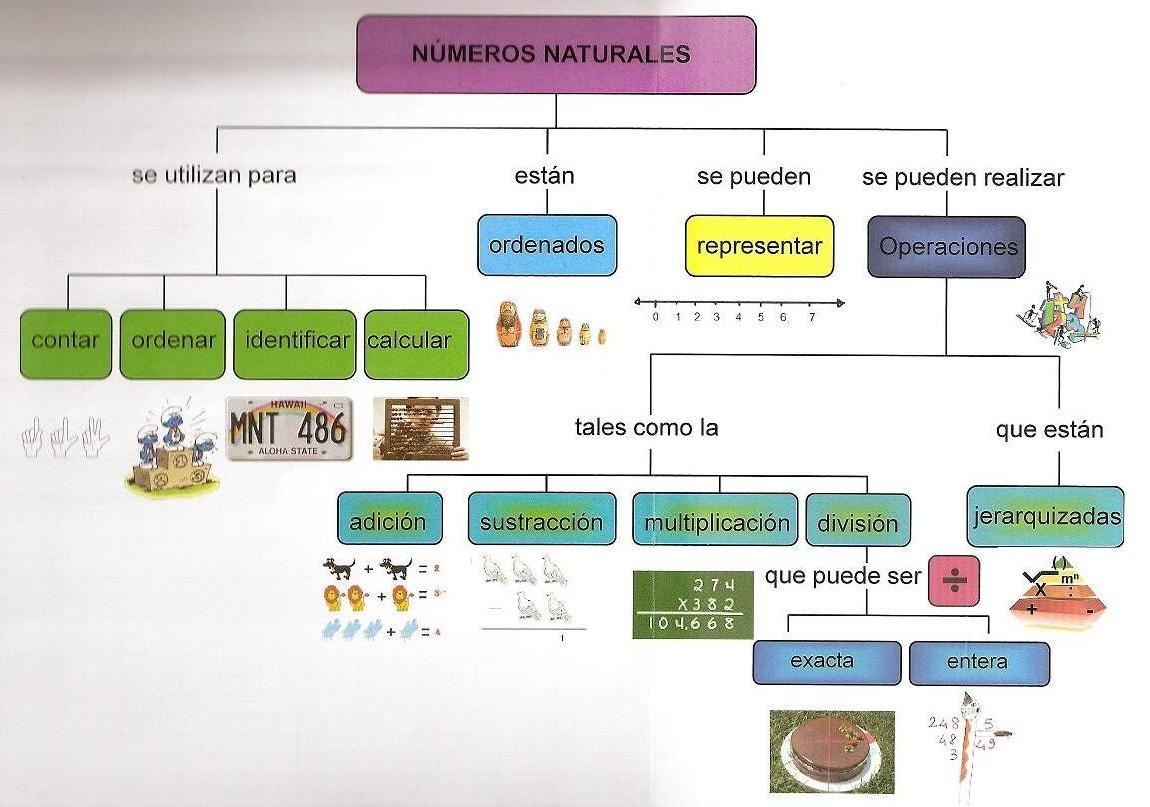 Mapa Conceptual N Meros Naturales Ingrid Math